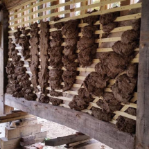 IMG-20190320-WA0023 IMG-20190320-WA0023